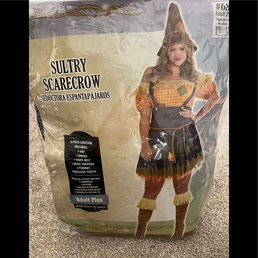 Halloween Costume- Sultry Scarecrow - size 18-20